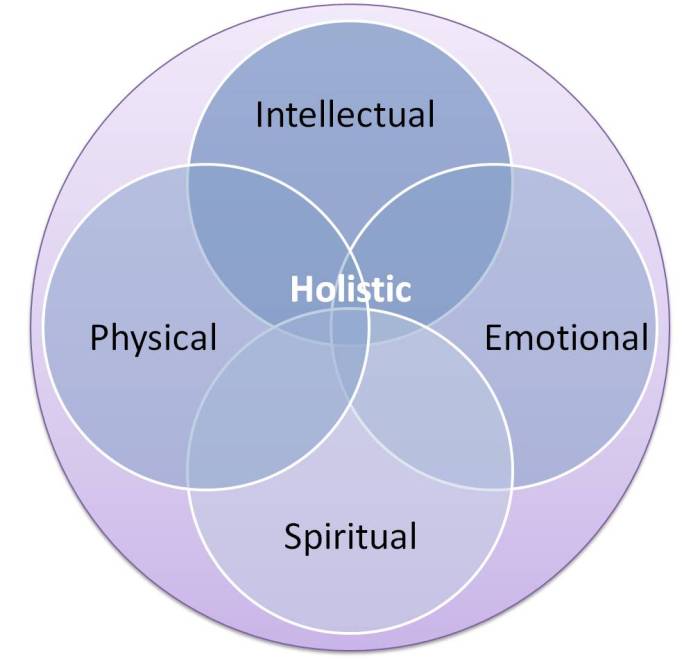 Holistic psychiatry themindfool Holistic approaches to chronic illness